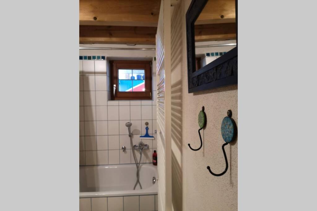 גיינהופן Seenah - Ihre Wohnung Am Bodensee / Untersee מראה חיצוני תמונה