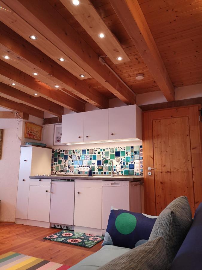 גיינהופן Seenah - Ihre Wohnung Am Bodensee / Untersee מראה חיצוני תמונה