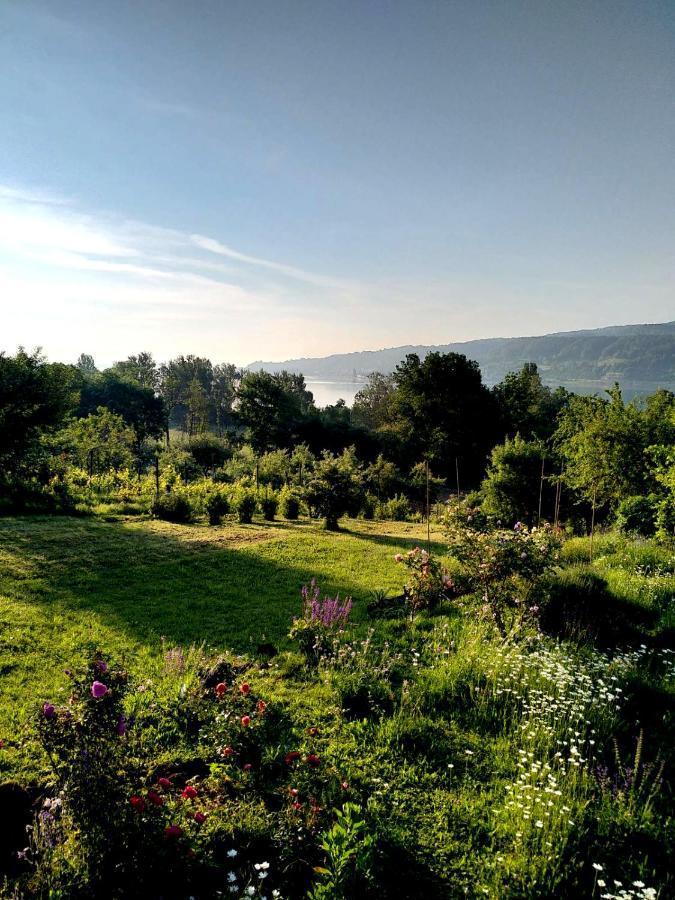 גיינהופן Seenah - Ihre Wohnung Am Bodensee / Untersee מראה חיצוני תמונה
