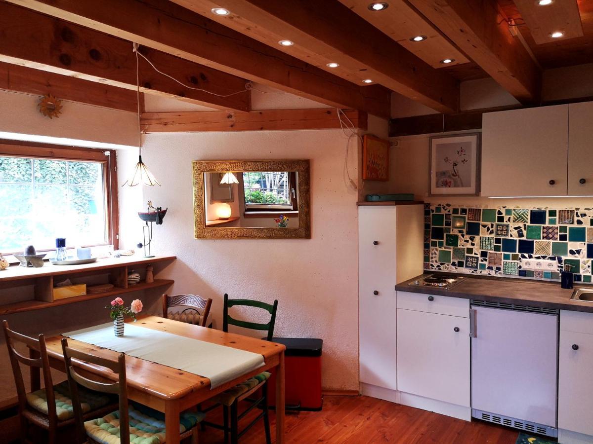 גיינהופן Seenah - Ihre Wohnung Am Bodensee / Untersee מראה חיצוני תמונה